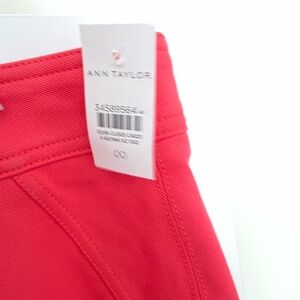 Ann Taylor pencil skirt 00 NWT